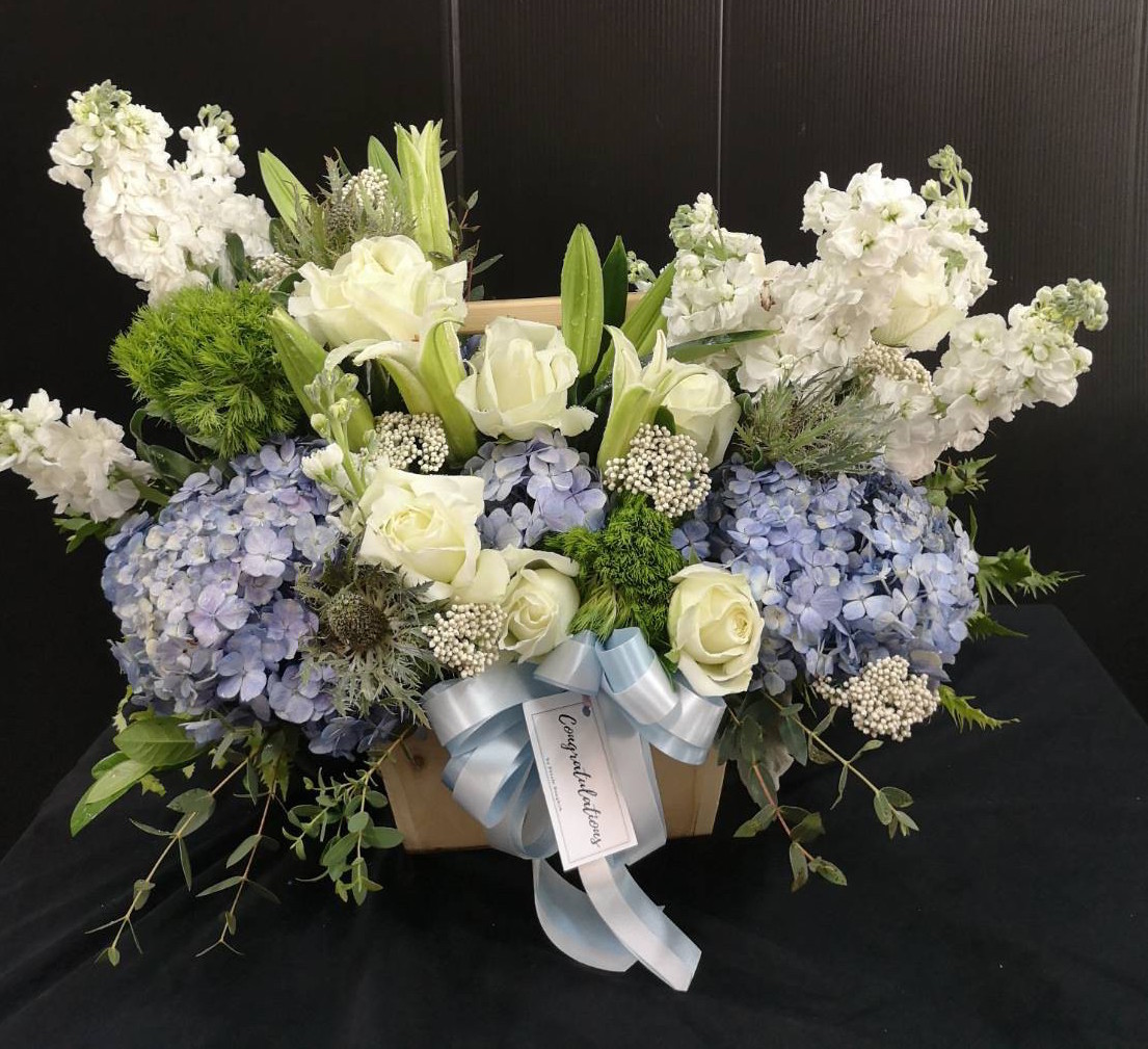 petale ไม่ได้ลง_200509_0086