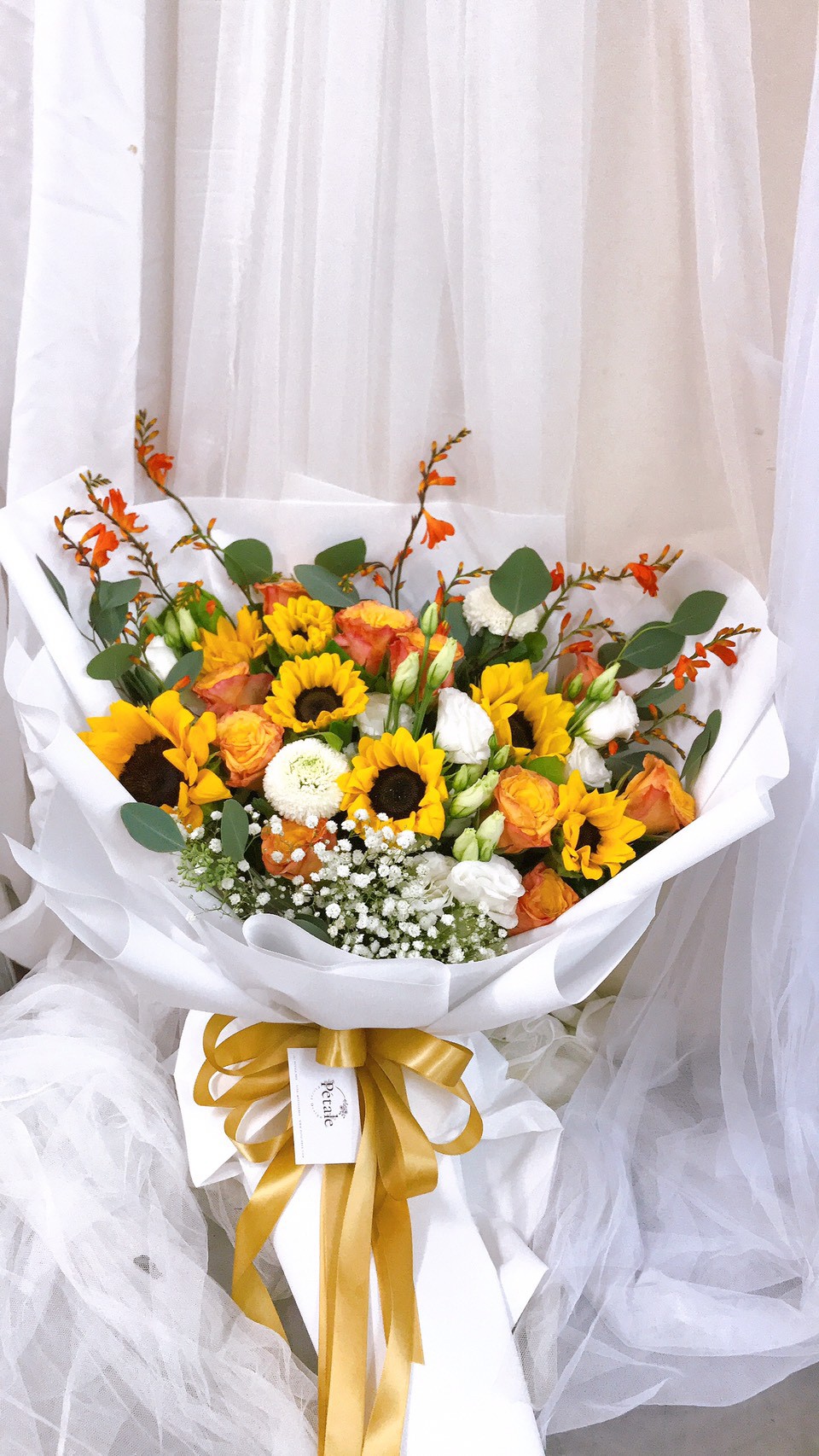 petale ไม่ได้ลง_200723_0584