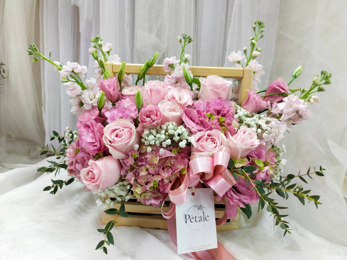 petale feed3_210417_0491