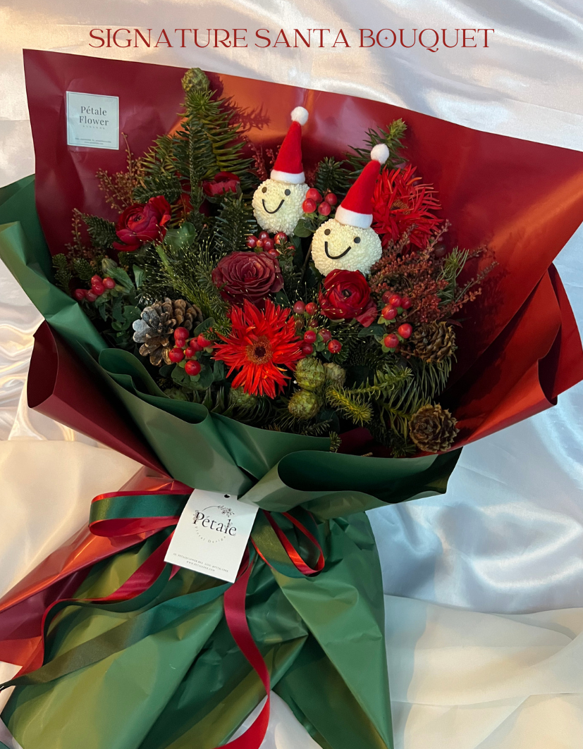 Merry Christmas & Happy new year (1)