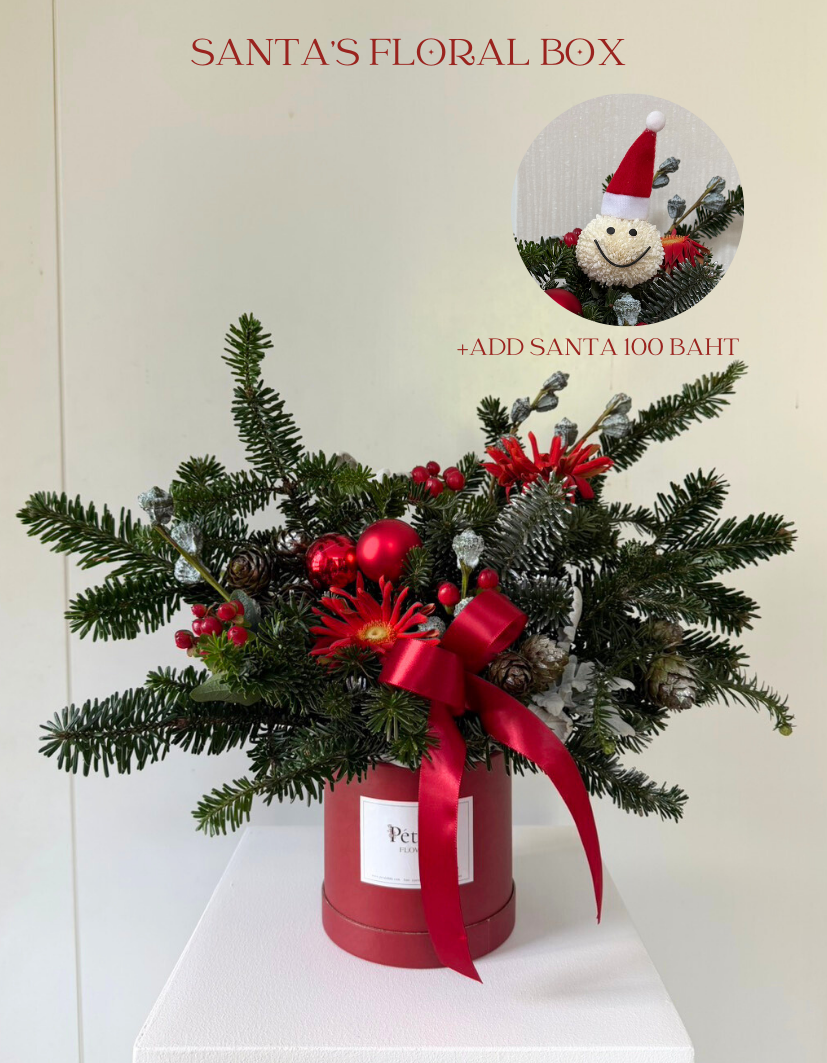 Merry Christmas & Happy new year (2)