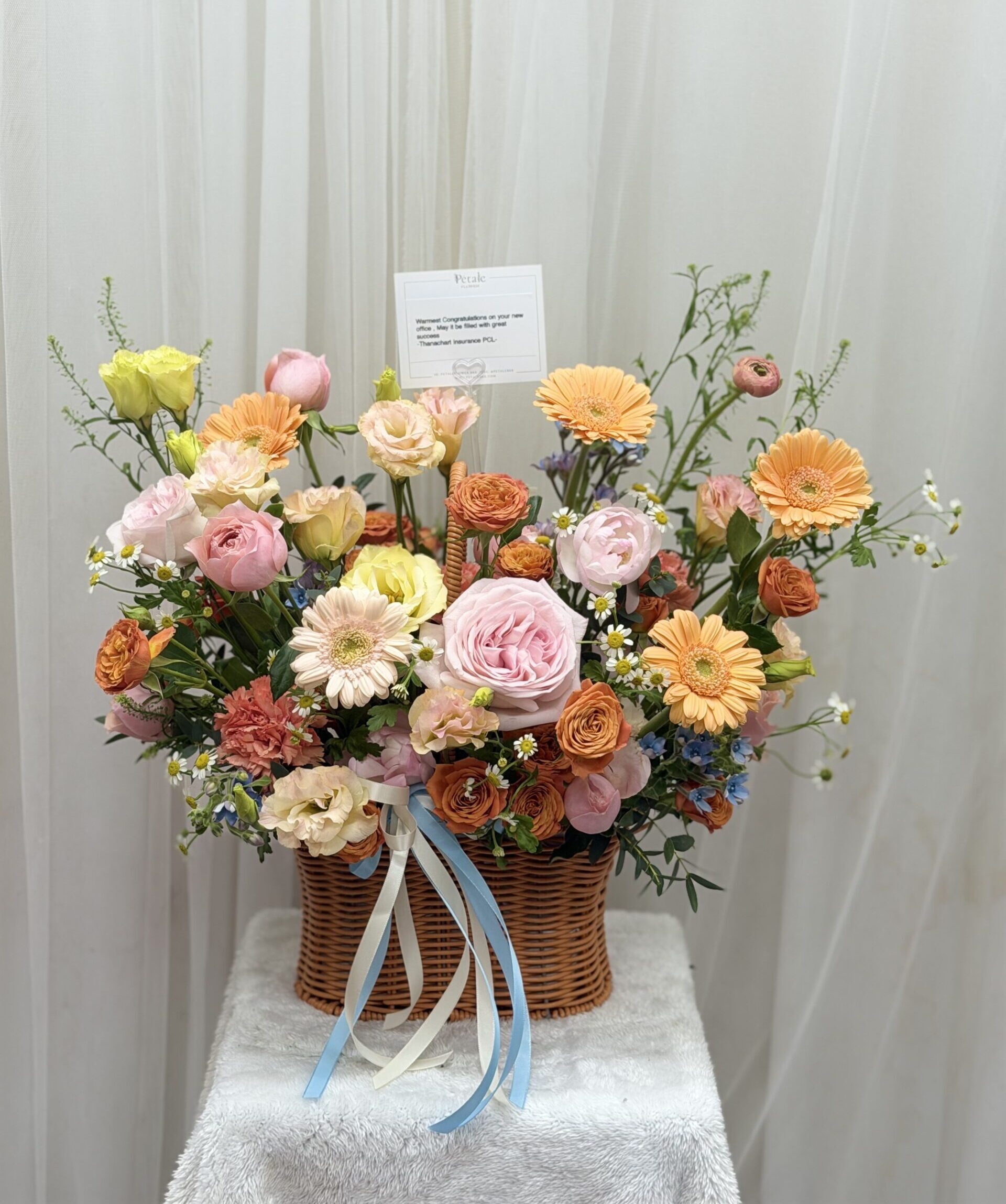 54004C58-EFCC-4CF3-A24F-784E6A396394_0