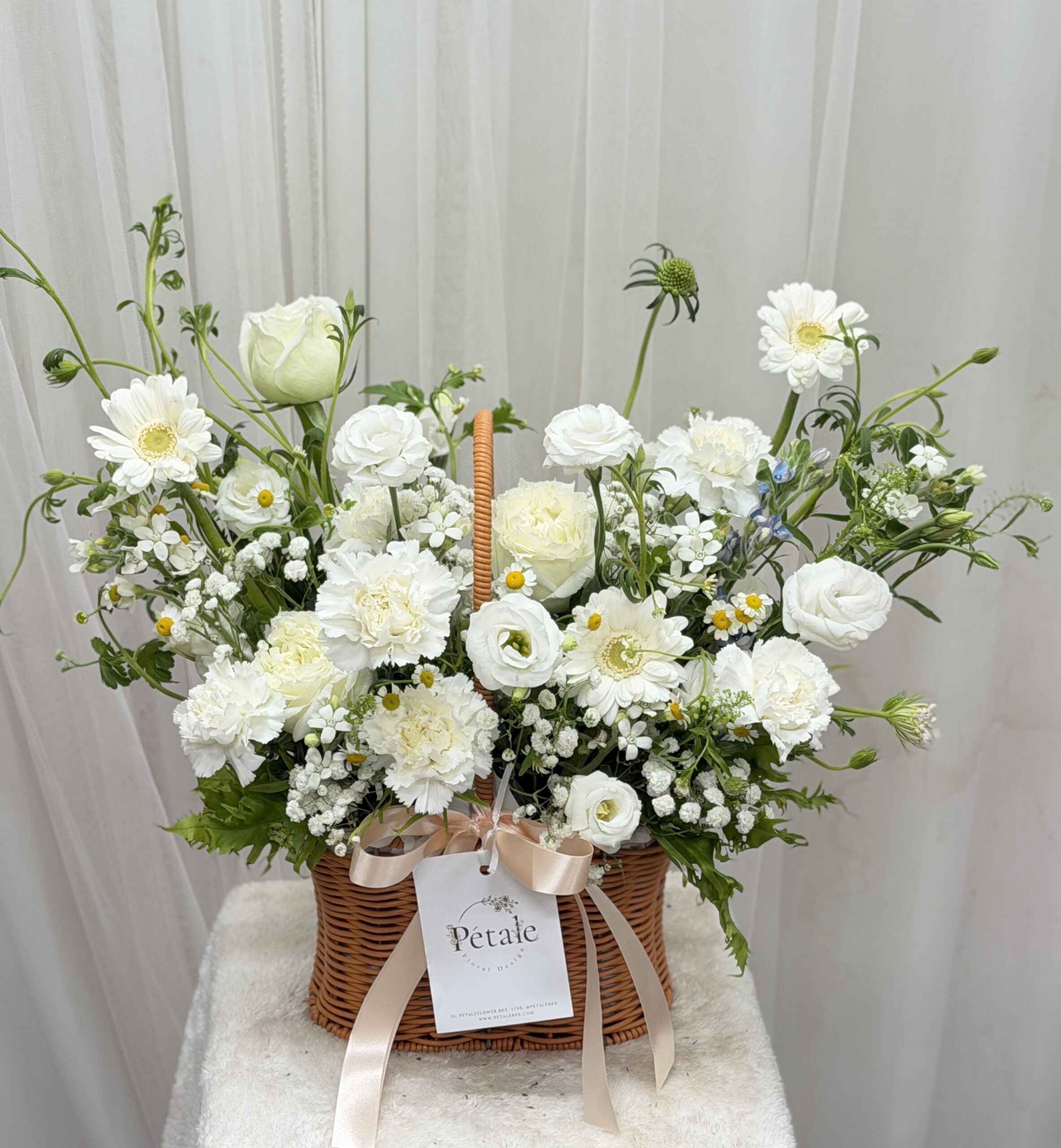 E57852B1-D826-4738-AA21-B5E059188595